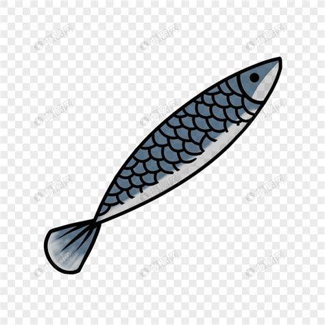 谁认识这鱼叫什么名字 - 钓鱼之家