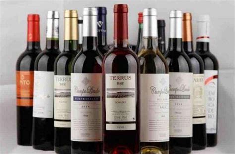 智利最好的葡萄酒有哪些？不止于十八罗汉_葡萄酒_什么值得买
