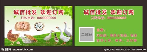 家禽 禽蛋销售名片设计图__名片卡片_广告设计_设计图库_昵图网nipic.com