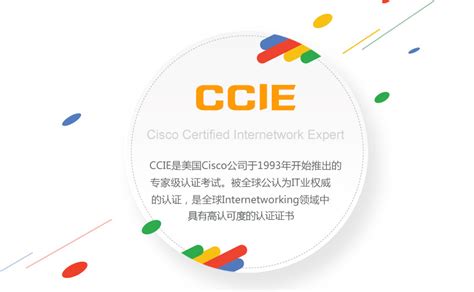 CCIE|CCNP|CCNA认证培训-SPOTO(思博)权威思科认证IT人才培训机构