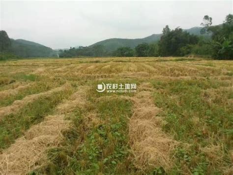 海南省万宁新中农场50亩土地转让- 聚土网