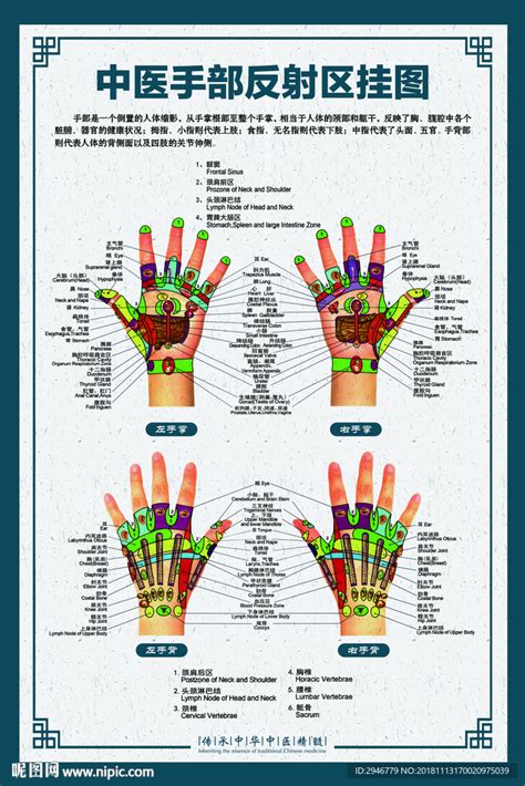 【手掌与疾病】【图】手掌与疾病有关系吗？ 专家告诉你究竟是科学还是胡诌(3)_伊秀健康|yxlady.com