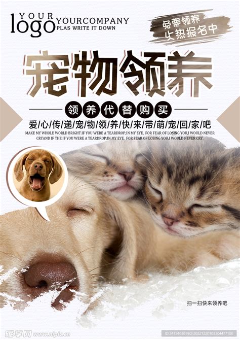 领养宠物宣传海报模板下载-编号4089231-众图网