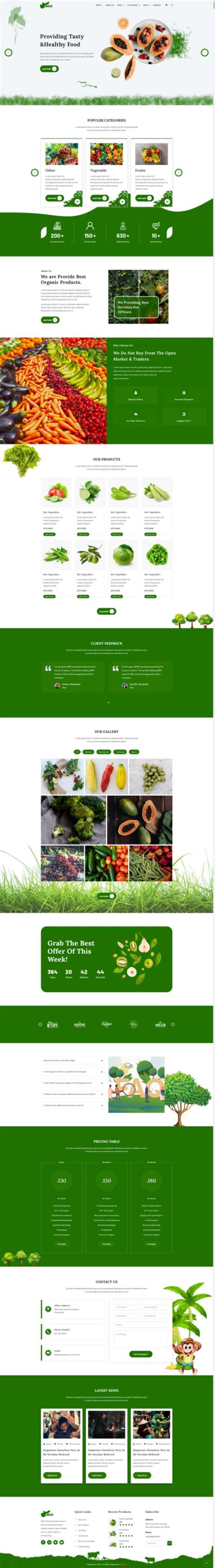 农产品网页设计模板，简洁的蔬果商城模板_墨鱼部落格