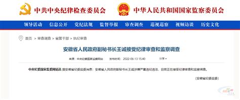 安徽省人民政府副秘书长王诚接受纪律审查和监察调查 - 知乎