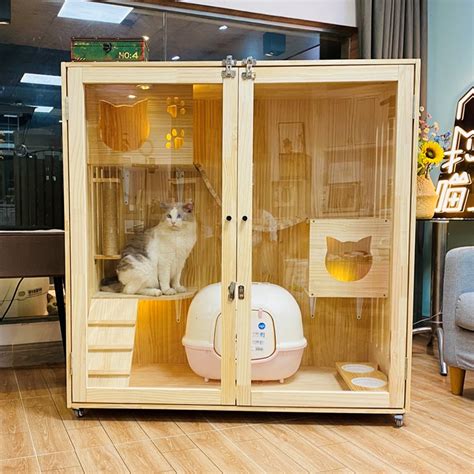宠物之家：为40只猫建造一座“马赛公寓”-建筑方案-筑龙建筑设计论坛