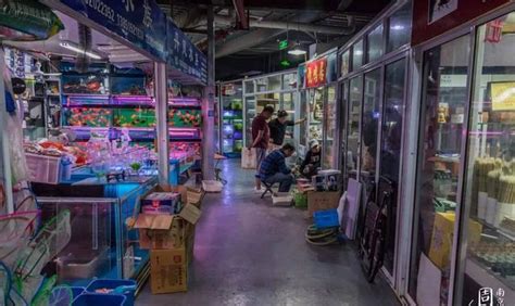 荔湾 | 芳村花鸟鱼虫市场迁址获“新生”，批发市场变旅游“打卡点”