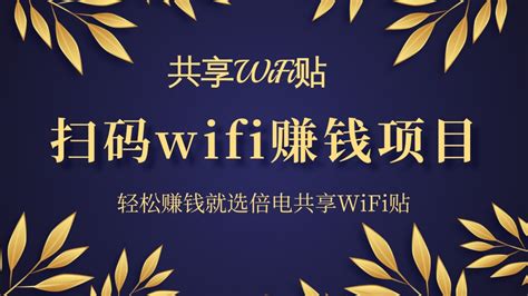 WiFi大师正版坑位青提wifi专业版分销程序SAAS部署一条龙搭建服务-淘宝网