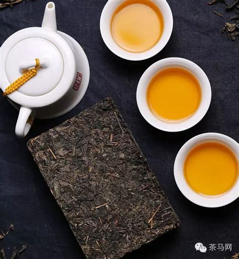 【黑茶】的功效与作用_药用价值_泡法_茶_绿茶说