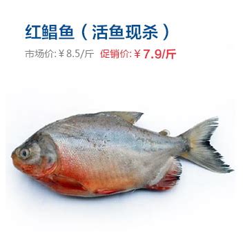 红鲳鱼产地,红鲳鱼,红鲳鱼_大山谷图库