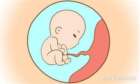 高龄产妇B超结果显示胎儿股骨偏小，基因检测后决定引产！_代理香港验DNA-先知基因
