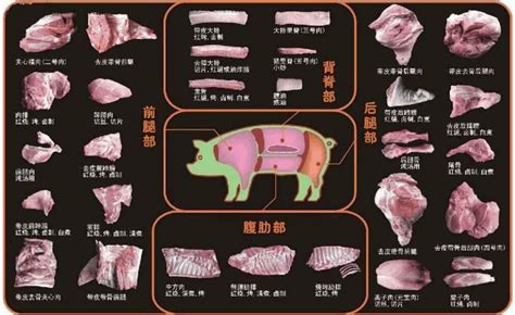 猪肉分割图设计图__广告设计_广告设计_设计图库_昵图网nipic.com
