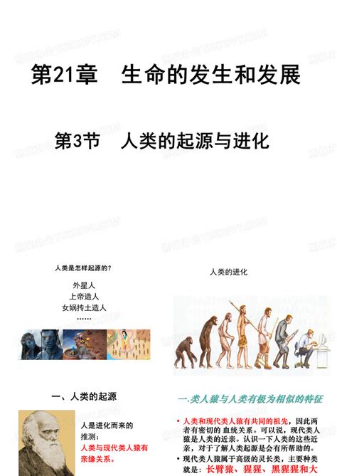 人类进化PPT模板下载_编号qgbgakwe_熊猫办公