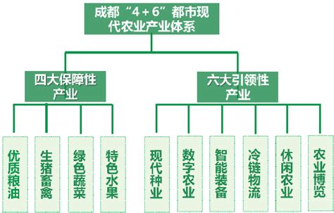 一图读懂《“十四五”推进农业农村现代化规划》（附全文） - 政策法规与解读 - 新乡市供销合作社