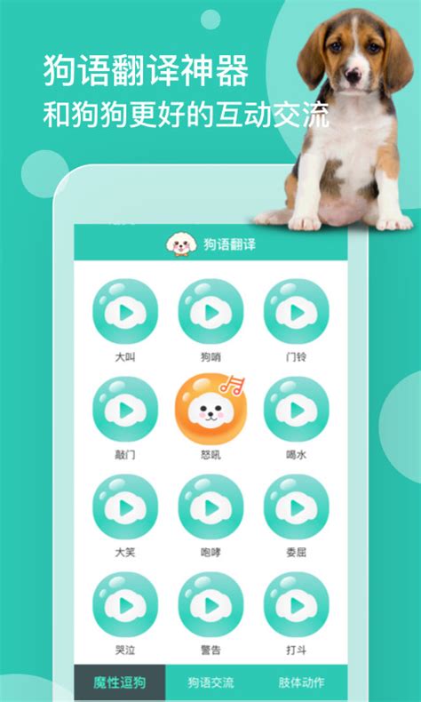 狗语翻译下载2021安卓最新版_手机app官方版免费安装下载_豌豆荚