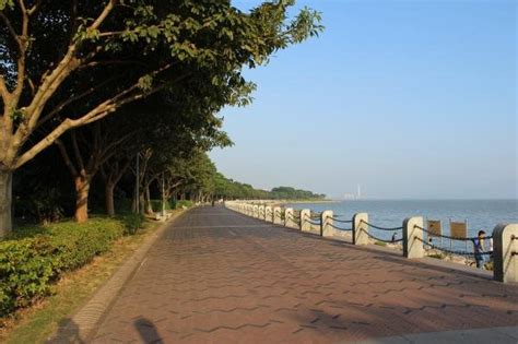 深圳一座163公顷公园，门票免费还能钓鱼，是休闲郊游好去处