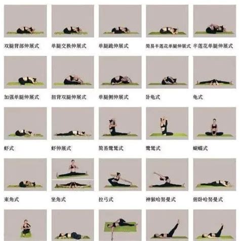 瑜伽标志设计 LOGO设计_远昌-站酷ZCOOL