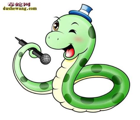 关于蛇的幽默小笑话_养蛇笑话_毒蛇网