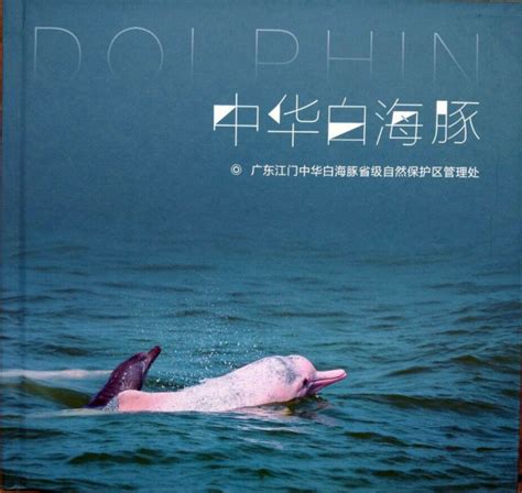 拯救搁浅的白海豚|白海豚|中华白海豚|淇澳岛_新浪新闻