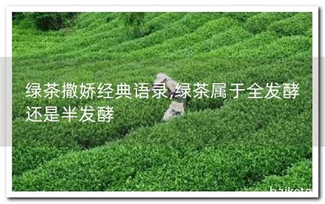 绿茶婊经典语录 - 业百科