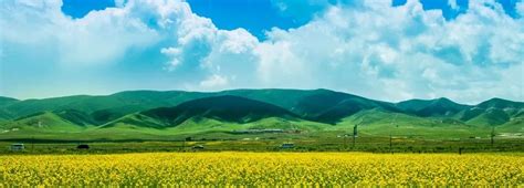 内蒙古 - 中国产业经济信息网