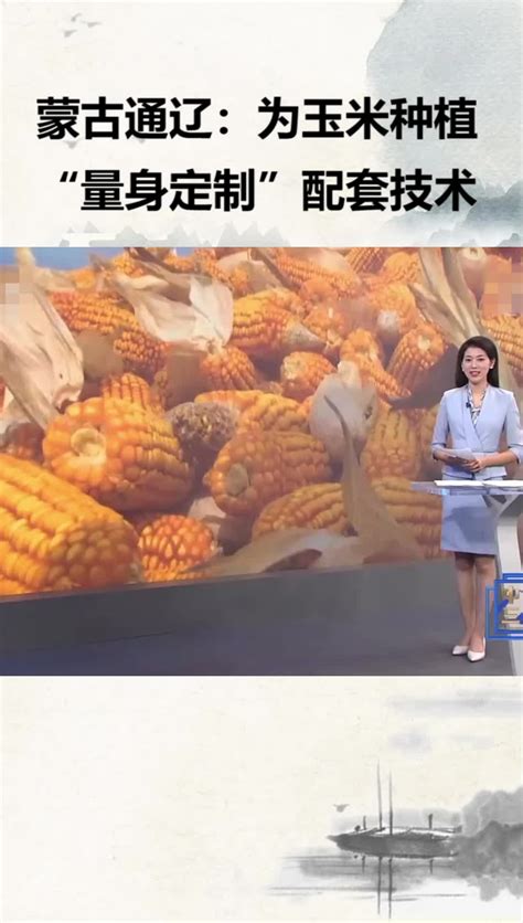 内蒙古通辽：为玉米种植“量身定制”配套技术_凤凰网视频_凤凰网