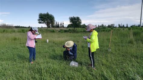 人们通常会借助于哪种昆虫对湿地水质进行监测 蚂蚁庄园2020年8月11日答案|人们|常会-滚动读报-川北在线