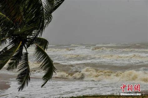 超强台风威马逊过后真实的海南 | JiaYu Blog