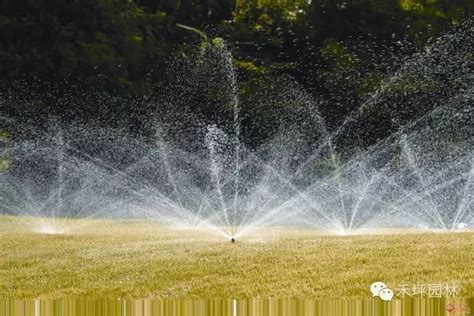 滴水器浇花神器懒人家用绿植定时浇花器滴灌出差渗水器自动浇水器-阿里巴巴