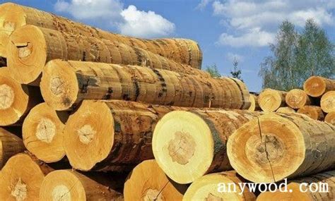 木材经销商如何选择好的营销平台【木材资讯】 - 木业头条 - 批木网