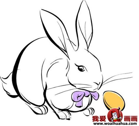 卡通小兔子简笔画教程-露西学画画
