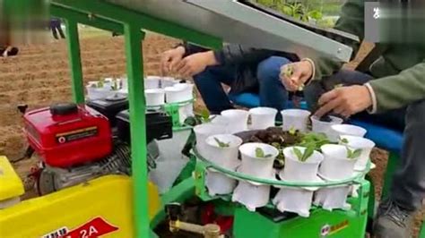 种植机械蔬菜移栽机栽苗机油菜移植机两行移栽机