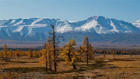 俄罗斯阿尔泰山高清图片下载-正版图片504644136-摄图网