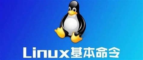 Linux目录结构和系统结构 - 墨天轮