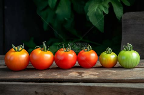 番茄成熟的过程高清图片下载-正版图片600320922-摄图网