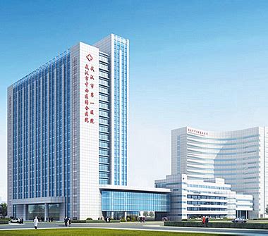 武汉市红十字会医院(武汉市第十一医院)2021价格表(价目)对外公示-欣美整形网