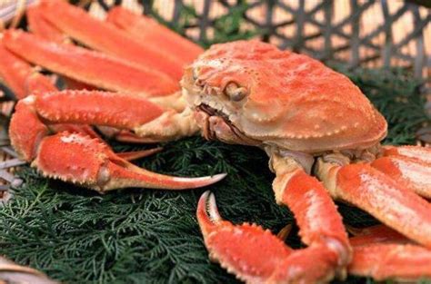 世界上最大的螃蟹排名 帝王蟹仅第三，第一体长可达3米_排行榜123网