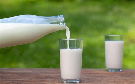 生牛乳和生鲜乳哪个好-生牛乳和生鲜乳哪个好,生牛乳,和,生鲜,乳,哪个,好 - 早旭阅读