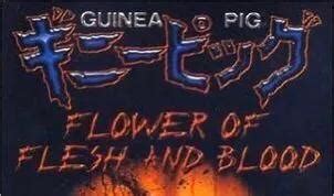 日本豚鼠系列恐怖片之《血肉之花》，一部伪鼻烟胶卷电影！-搜狐大视野-搜狐新闻
