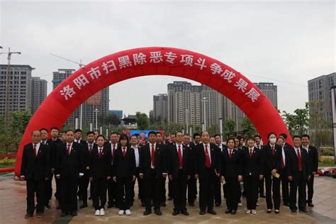 河南洛阳伊川发现土坑墓200余座，马匹遗骸及车辆保存完整 “陆浑戎”迁徙洛阳再添力证