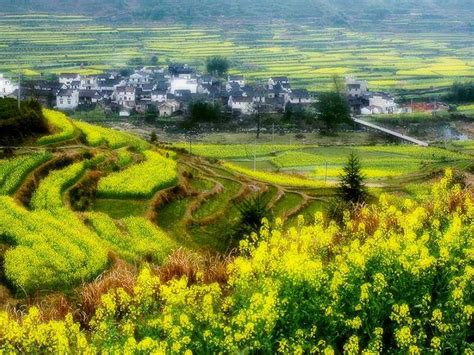 中国最美的乡村婺源，必去的三个景点介绍 婺源旅游攻略-介绍婺源油菜花|婺源景点|中国最美的乡村婺源