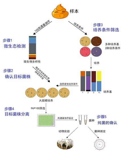 中科院遗传发育所水稻基因组编辑研究取得重要新进展----成都生物研究所