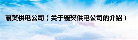 2009襄樊百佳纳税企业-公司荣誉-湖北王胖子置业集团有限公司