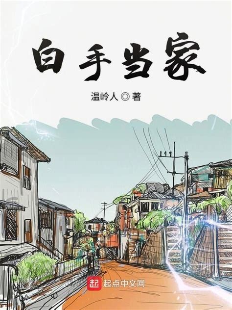 《白手当家》小说在线阅读-起点中文网
