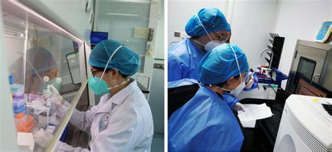 精准诊疗，测序先行——精准医学实验室在内蒙古自治区人民医院医学检验科建成