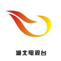 湖北卫视台标志logo图片-诗宸标志设计