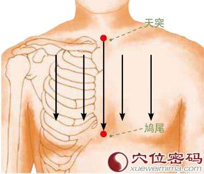 正确的刮痧手法图图片