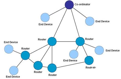 什么是网络节点？