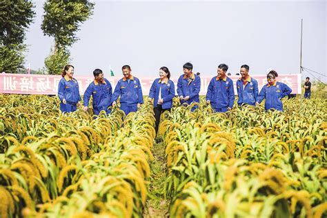 吉林省向着率先实现农业现代化的目标挺进