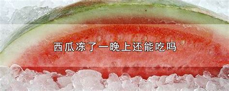 【西瓜果冻的做法步骤图，西瓜果冻怎么做好吃】YUZUZU_下厨房